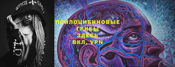 СК Балахна