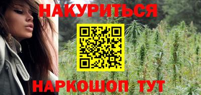 трава Гатчина