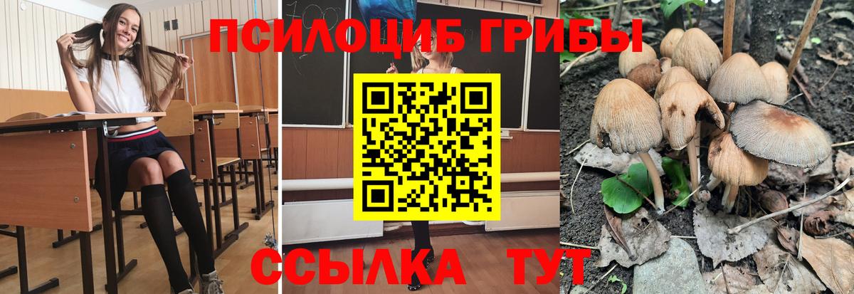 Гудермес  Псилоцибиновые грибы Magic Shrooms  Галлюциногенные грибы прущие грибы  Вход с VPN 