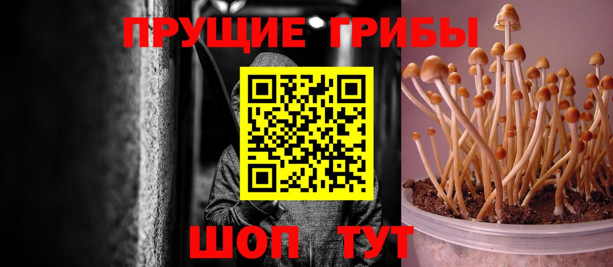 Псилоцибиновые грибы ЛСД Гудермес