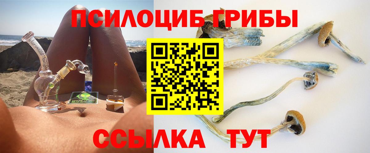 Галлюциногенные грибы Psilocybine cubensis  Гудермес 