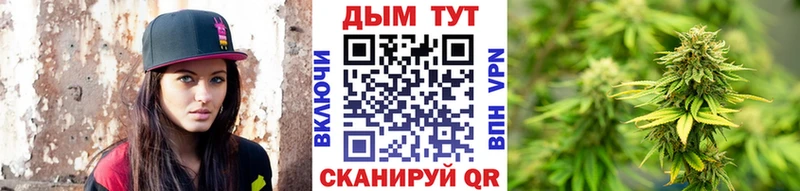 Бошки марихуана White Widow  купить наркотики цена  Гудермес 